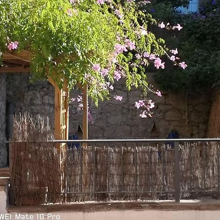 הייר Appartement Avec Jardin Privatif Centre Ville מראה חיצוני תמונה